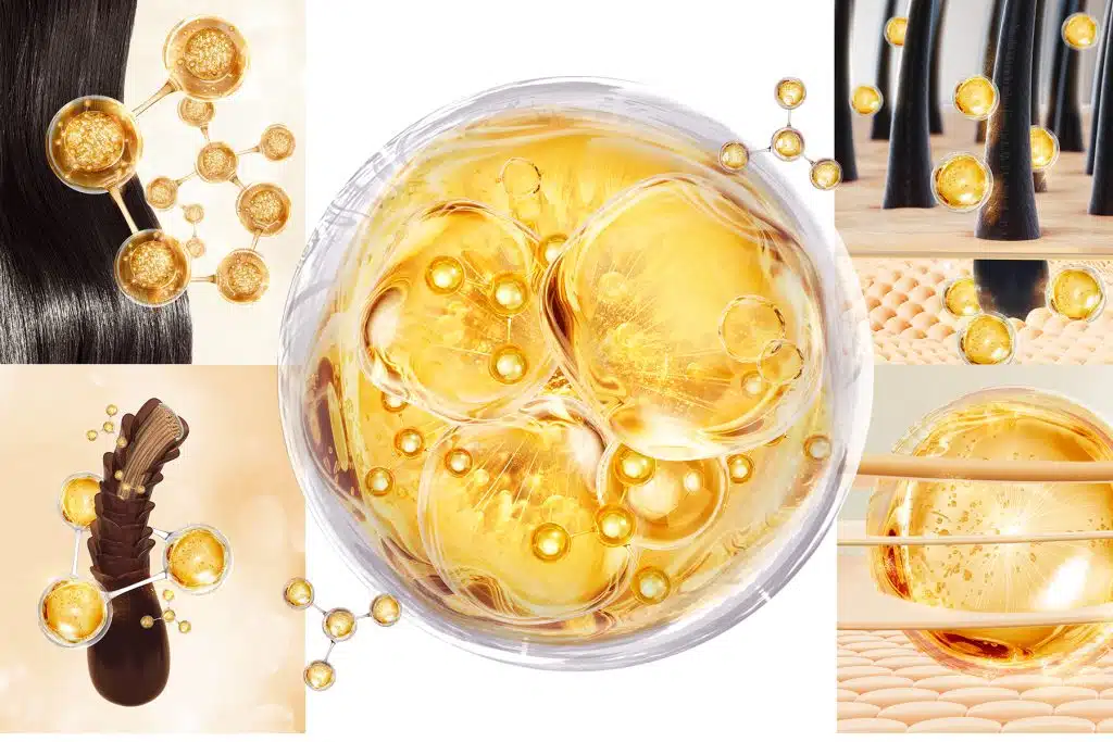 Todo sobre las células madre para el cabello: ¿es una solución efectiva? 1 Vista detallada del cuero cabelludo y los folículos pilosos, fundamentales en los procesos de crecimiento del cabello